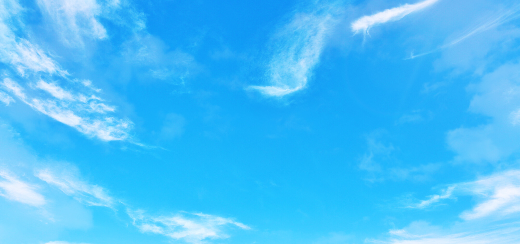 00top_body_bg